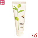 【11/1(土)限定!ポイント最大8倍!】エリナ P歯磨き 95g 6本セット プロポリス 歯磨き ハミガキ 送料無料