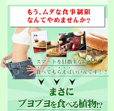 【ポイント5倍】お得な3個セット Princess MIRO(プリンセスミロ) 酵素+フォルスコリー(フォースコリー)ダイエット 60粒