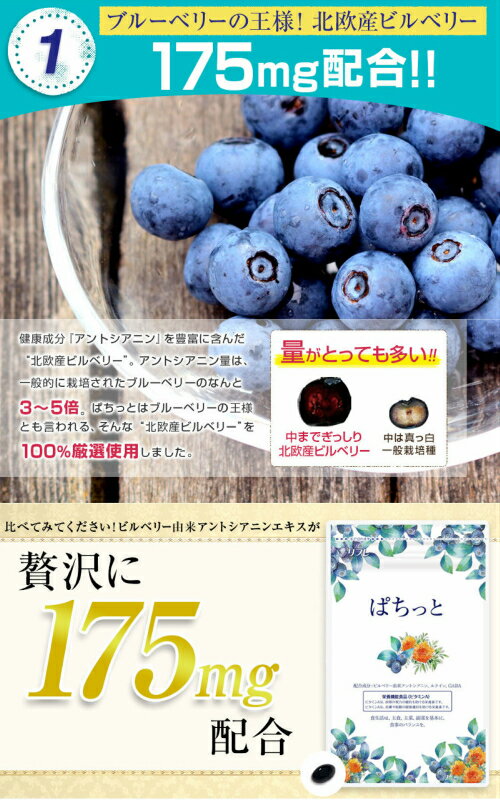【井藤漢方製薬株式会社】【メール便対応！送料無料！5個セット】黒胡麻・卵黄油の入った琉球もろみ黒にんにく徳用　198粒【5個セット】