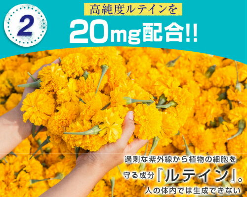 【井藤漢方製薬株式会社】【メール便対応！送料無料！5個セット】黒胡麻・卵黄油の入った琉球もろみ黒にんにく徳用　198粒【5個セット】