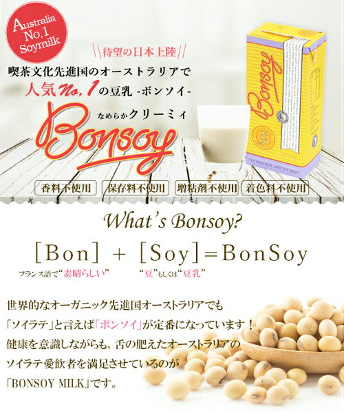 kunistyleの【楽天カードでポイント9倍！】8/20(木)限定！ボンソイ BONSOY 1L｜アングル3