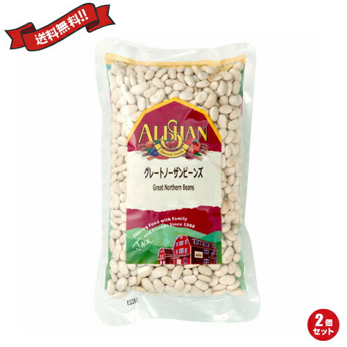 【BF限定!100円クーポン!学割2倍!】豆 インゲン インゲン豆 アリサン グレートノーザンビーンズ 500g 2袋セット