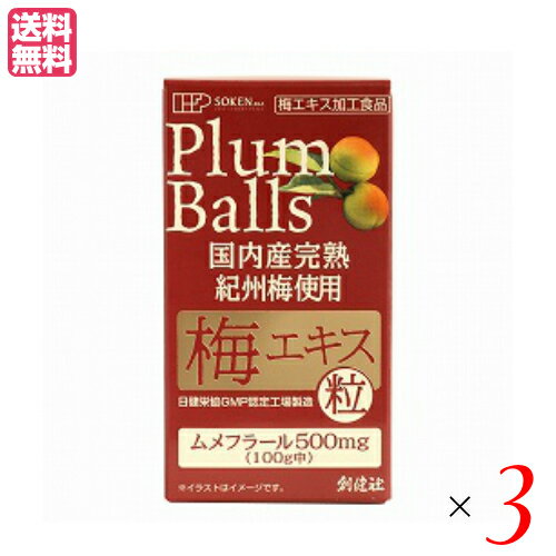 【マラソン限定！ポイント2倍！100円クーポン！】梅エキス 粒 創健社 国内産完熟紀州梅使用 梅エキス 粒 90g（約450粒） 3個セット