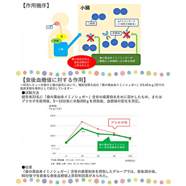 青汁 桑の葉 イミノシュガー 恵みの桑の葉青汁 3g 30包 機能性表示食品 3