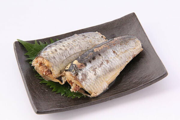 【マラソン限定！ポイント2倍！100円クーポン！】いわし 鰯 真いわし 創健社 いわし水煮 100g(固形量70g) 送料無料