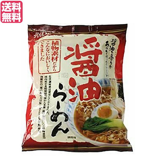 【イーグルス感謝祭！ポイント最大5倍！】インスタントラーメン 袋麺 即席 創健社 醤油らーめん 99.5g 送料無料