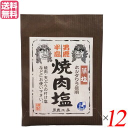 塩 天然塩 食塩 男鹿半島 焼肉塩 40g 12個セット 男鹿工房 送料無料