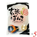【7/18(金)限定!ポイント最大4倍!】パン粉 玄米 桜井食品 玄米ぱんこ 100g 5袋セット