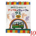 【お買い物マラソン！ポイント5倍！】グミ フルーツ 詰め合わせ 創健社 メイシーちゃんのおきにいり アップルとグレープのグミ 8粒 10個セット 送料無料