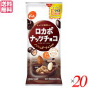 お菓子 ロカボ 糖質 でん六 ロカボナッツチョコ 34g 20袋セット とってもEサイズプラス 送料無料