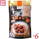 【6/30(月)限定!楽天カード利用でポイント8倍!】カレー カレールー レトルト 風と光 奄美カレー 甘口 180g 6袋セット 送料無料