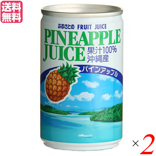 パイナップル ジュース ストレート ふるさとのパインアップルジュース 160g 長野興農 2本セット 送料無料