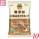 さきいか 北海道 国産 ノースカラーズ 純国産北海道皮付さきいか 40g 10個セット 送料無料