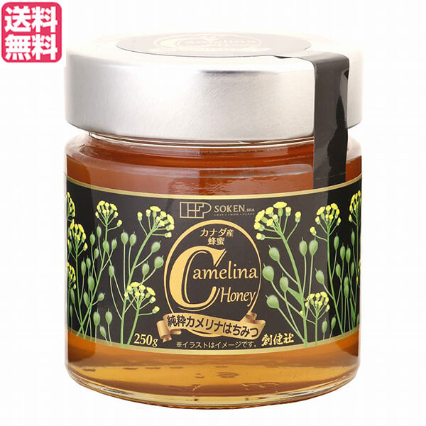 【マラソン限定!ポイント2倍!100円クーポン!】はちみつ 蜂蜜 ハニー 創健社 純粋カメリナはちみつ 250g 送料無料