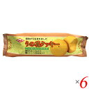 お菓子 クッキー ビーガン キング製菓 うの花クッキー 80g 6個セット(4)