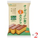 【マラソン限定!ポイント2倍!100円クーポン!】カステラ ギフト 個包装 ノースカラーズ オーガニック小麦の蜂蜜カステラ 5個 2個セット(4)