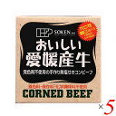 創健社 愛媛産牛 無塩せきコンビーフは愛媛県産牛肉を100%使用した無塩せき手作りコンビーフ。 発色剤（亜硝酸ナトリウム）を使用せず（塩せき工程を行わず）肉本来の食感・風味を活かしました。 ○愛媛県産牛肉を100%使用した、発色剤不使用の手作り無塩せきコンビーフです。 ○素材の風味を大切に、発色剤（亜硝酸ナトリウム）、着色料、保存料、化学調味料は使用しておりません。 ○一番しぼりの「べに花一番高オレイン酸」を使用しています。 ○砂糖は鹿児島県喜界島産の粗糖を使用しています。食塩はにがりを含む塩を使用しています。 ＜創健社について＞ 半世紀を超える歴史を持つこだわりの食品会社です。 創業の1968年当時は、高度経済成長期の中、化学合成された香料・着色料・保存料など食品添加物が数多く開発され、大量生産のための工業的製法の加工食品が急速に増えていました。 創業者中村隆男は、「食べもの、食べ方は、必ず生き方につながって来る。食生活をととのえることは、生き方をととのえることである。」と提唱し、変わり行く日本の食環境に危機感を覚え、より健康に繋がる食品を届けたいと願って創健社を立ち上げました。 いまでこそ持続可能な開発目標（SDGs）として取り上げられているようなテーマを、半世紀を超える歴史の中で一貫して追求してまいりました。 世の食のトレンドに流されるのではなく、「環境と人間の健康を意識し、長期的に社会がよくなるために、このままでいいのか？」と疑う目を持ち、「もっとこうしたらいいのでは？」と代替案を商品の形にして提案する企業。 わたしたちはこの姿勢を「カウンタービジョン・カンパニー」と呼び、これからも社会にとって良い選択をし続ける企業姿勢を貫いて参ります。 ■商品名：コンビーフ お取り寄せ 缶詰 創健社 愛媛産牛 無塩せきコンビーフ 無添加 国産 国産牛 手作り 送料無料 ■内容量：80g×5個セット ■原材料名：牛肉（愛媛）、牛脂（国内産）、べに花油、食塩、砂糖［喜界島粗糖（鹿児島）］、発酵調味料：小麦・大豆を含む、香辛料 ■アレルゲン：（28品目）小麦 / 牛肉 / 大豆 ■分析データ：1缶：80gあたり エネルギー：162kcal たんぱく質：15.8g 脂質：10.4g 炭水化物：1.4g 食塩相当量：1.4g この表示値は、目安です。 ■メーカー或いは販売者：創健社 ■賞味期限：製造日より720日 ■保存方法：直射日光・高温多湿を避け常温暗所保存 ■区分：食品 ■製造国：日本 ■注意事項： ○開缶後はガラス等の容器に移しかえて下さい。 ○本品製造工場では「卵・乳成分・えび」を含む製品を生産しています。 ○発酵調味料には、酵母エキスが含まれています。 ○破裂してケガをする恐れがありますので、缶のまま直火にかけないで下さい。 ○缶の切り口で手を傷つけないようにご注意下さい。 ○お使い残りが出た場合は、他の容器に移し替えて冷蔵庫に入れ、お早めにお召し上がり下さい。【免責事項】 ※記載の賞味期限は製造日からの日数です。実際の期日についてはお問い合わせください。 ※自社サイトと在庫を共有しているためタイミングによっては欠品、お取り寄せ、キャンセルとなる場合がございます。 ※商品リニューアル等により、パッケージや商品内容がお届け商品と一部異なる場合がございます。 ※メール便はポスト投函です。代引きはご利用できません。厚み制限（3cm以下）があるため簡易包装となります。 外装ダメージについては免責とさせていただきます。