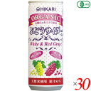 光食品 サイダー 炭酸ジュース ヒカリ オーガニックぶどうサイダー+レモン 250ml 30本セット 送料無料