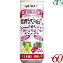 光食品 サイダー 炭酸ジュース ヒカリ オーガニックぶどうサイダー+レモン 250ml 60本セット 送料無料
