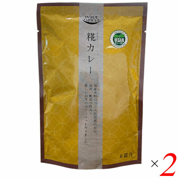 カレー カレールー カレールゥ 井上スパイス 糀カレー 130g 2個セット 送料無料
