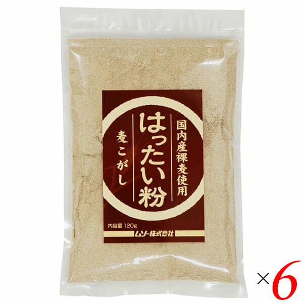 はったい粉 120g 6個セット 国内産裸麦使用 ムソー 麦こがし こうせん さぬき