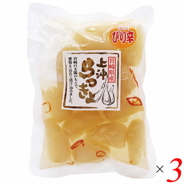 【マラソン限定!ポイント2倍!100円クーポン!】宮崎県産ピリ辛らっきょう 100g 3個セット 上沖産業 送料無料
