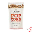 ポップコーン キャラメル バター キャラメルプレッツェルポップコーン 115g 5個セット LOMBARD ロンバード 送料無料