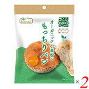 【BF限定!100円クーポン!学割2倍!】パン ヴィーガン 国産小麦粉 オーガニック小麦粉のもっちりパン プレーン 2個セット