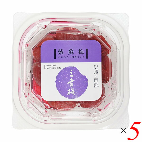 梅干 昔ながら 三幸農園 紫蘇梅100g 5個セット
