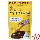 創健社 管理栄養士が考えた こどもカレールウ甘口(フレーク) 110g 10個セット