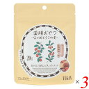 【9/10(水)限定!楽天カード利用でポイント8倍!】薬膳おやつ なつめとクコの実 20g 3個セット ブラウンシュガーファースト ヘルシー スナック 棗 ゴジ...