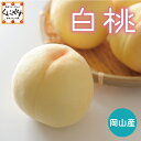 【ふるさと納税】和歌山産 桃 秀品 サイズおまかせ 11玉～16玉 約4kg【ヤマタ大谷商店】