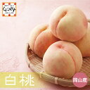 \買いまわりポイント 最大10倍!お買い物マラソン開催中/ お中元 ご予約受付中★瀬戸内の暖かい気候で育った★最高級品 岡山産 白桃 【送料無料】【クール】【ギフト】【贈答用】「岡山産 白桃」 桃 もも フルーツ 贈答 果物 白鳳 御中元
