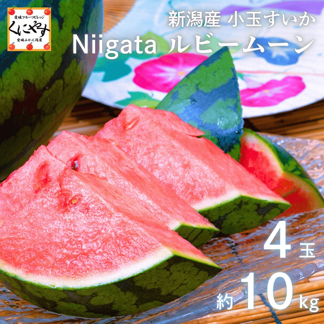 間もなく販売終了！30セット限定販売！【予約品】6/23〜7/5発送予定★甘い香りとしたたる果汁★【送料無料】新潟産 小玉すいか Niigata ルビームーン 「新潟産小玉すいか」 西瓜 すいか suika 新潟砂丘すいか 小玉のサムネイル
