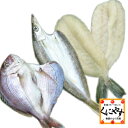 【送料無料】【鮮度抜群CAS冷凍品】【天然魚】宇和海朝獲れ鮮魚の一夜干しお試し3枚セット「カマス・真鯛・フグ」詰め合わせ/セット/お取り寄せ/グルメギフト/プレゼント/贈答