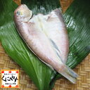 宇和海朝獲れ鮮魚の一夜干し「アマダイ1枚」同梱商品/宇和海/詰め合わせ/セット/お取り寄せ/グルメ