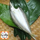 【鮮魚セット同梱専用商品】【単品購入不可】【鮮度抜群CAS冷凍品】【天然魚】宇和海朝獲れ鮮魚の一夜干し「カマス1枚」同梱商品/宇和海/詰め合わせ/セット/お取り...