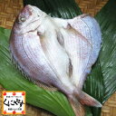 【鮮魚セット同梱専用商品】【単品購入不可】【鮮度抜群CAS冷凍品】【天然魚】宇和海朝獲れ鮮魚の一夜干し「真鯛1枚」同梱商品/宇和海/詰め合わせ/セット/お取り寄...