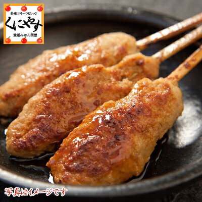 【送料無料】 媛っこ地鶏の極上モモ焼き鳥・極みつくねセット モモ焼き鳥6本・つくね6本 タレ付き /みかん放任園を有効活用し地鶏飼育