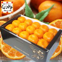 【送料無料】愛媛ポンカン贈答用4kg(Lサイズ約30個入り)...