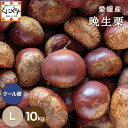 8/29 10:00~\枚数限定!クーポン利用で10%OFF/★シーズン最後の栗★【厳選品】【送料無料】【産地直送】愛媛産 晩生栗 Lサイズ 10キロ「愛媛晩生栗L10」」見た目綺麗 贈答OK! 国産 生栗 栗 渋皮煮 和栗 【☆】