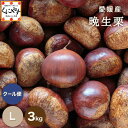 8/20~ご予約受付開始★シーズン最後の栗★【厳選品】【送料無料】【産地直送】愛媛産 晩生栗 Lサイズ 3キロ「愛媛晩生栗L3」見た目綺麗 贈答OK! 国産 生栗 栗 渋皮煮 和栗