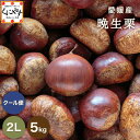 8/20~ご予約受付開始★シーズン最後の栗★【厳選品】【送料無料】【ギフト】【産地直送】愛媛産 晩生栗 2Lサイズ 5キロ「愛媛晩生栗2L5」見た目綺麗 贈答OK! 国産 生栗 栗 渋皮煮 和栗