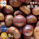 数量限定!8/20~ご予約受付開始★シーズン最後の栗★【厳選品】【送料無料】【ギフト】【産地直送】愛媛産 晩生栗 3L以上 5キロ「愛媛晩生栗3L5」見た目綺麗 贈答OK! 国産 生栗 栗 渋皮煮 和栗