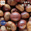 8/29 10:00~\枚数限定!クーポン利用で10%OFF/★シーズン最後の栗★【厳選品】【送料無料】【産地直送】愛媛産 晩生栗 Lサイズ 1キロ「愛媛晩生栗L1」見た目綺麗 贈答OK! 国産 生栗 栗 渋皮煮 和栗【☆】