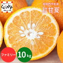 ★ほんのり紅色 紅甘夏 ★創業85年 愛媛みかん の老舗【送料無料】【ギフト】【産地直送】愛媛西宇和産 紅甘夏 みかん ファミリー用10kg「ファミリー紅甘夏1...