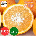 ご愛顧感謝デー!\抽選で最大100%ポイントバック!18日 0:00〜/★ほんのり紅色 紅甘夏 ★【送料無料】【産地直送】愛媛西宇和産 紅甘夏 訳あり 5kg「...