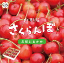 \お買い物マラソン 開催中!/新発売!ご予約受付中!★たくさんの山形愛を込めた赤い宝石★【送料無料】【産地直送】山形産 さくらんぼ 品種おまかせ Mサイズ以上 ...