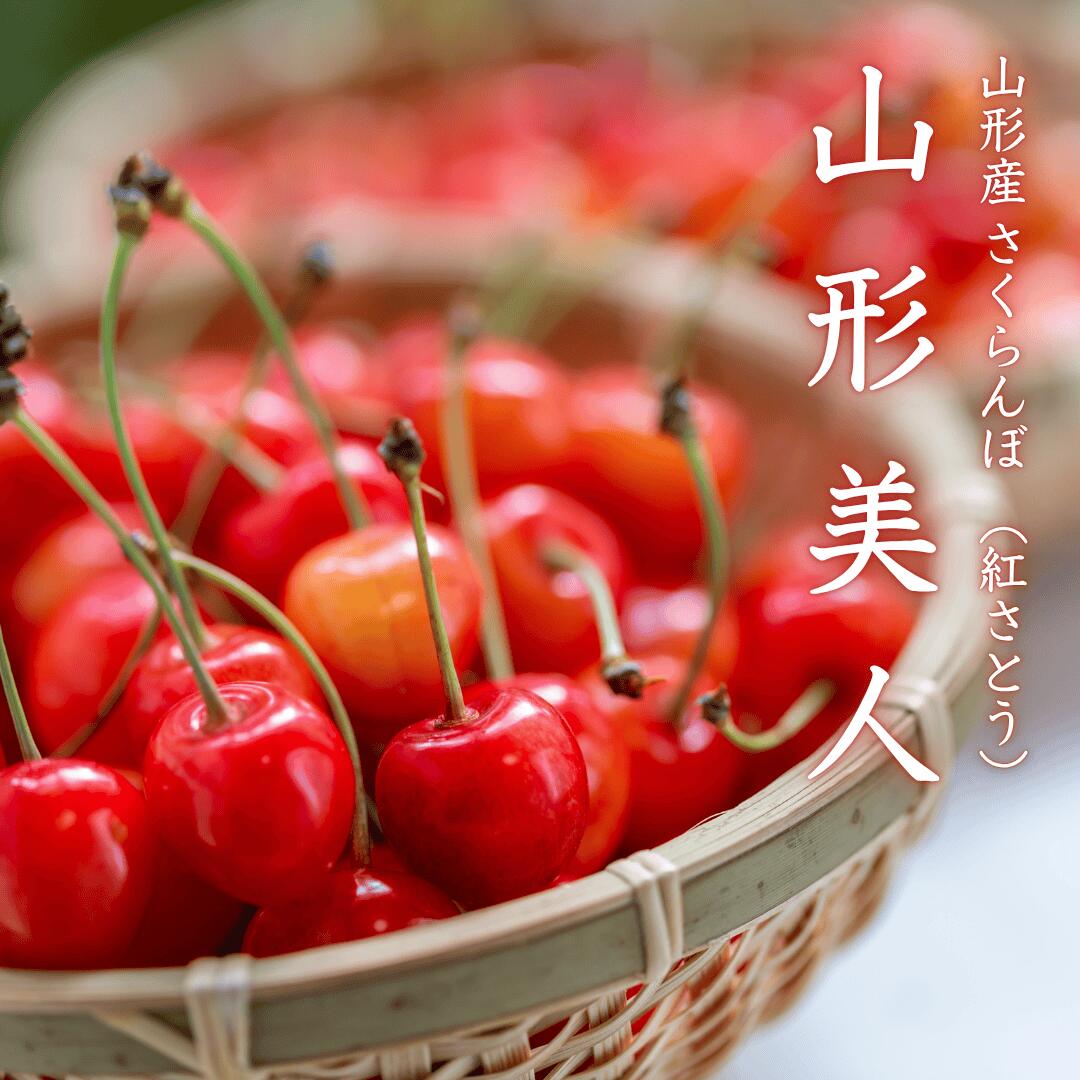 当選確率1/2！抽選で最大100％ポイントバック 本日 23:59 まで＼先行予約受付中！ ...
