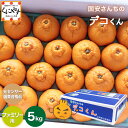 \5日はエントリーでポイント4倍/★糖度14.0以上酸1.4以下 味センサー合格品★ 愛媛みかん の老舗【送料無料】【ギフト】【クール】【産地直送】愛媛西宇和産国安さんちの デコくん ファミリー用5キロ「ファミリーデコくん5」 デコポン は登録商標のためデコくんとして販売(4)